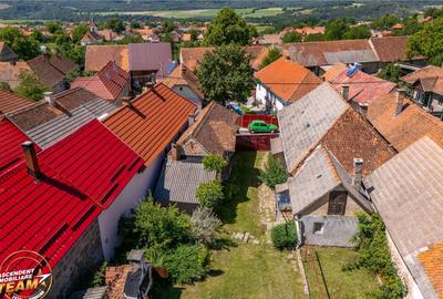 FILM!Doua case traditionale,pe domeniu cu peste 5.000mp tere - 15