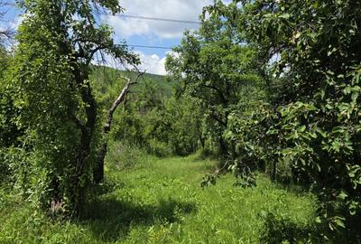 Casă cu 3 camere în Călinești - 5