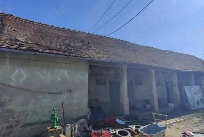 Teren de 1000 mp, în Pădureni - 1