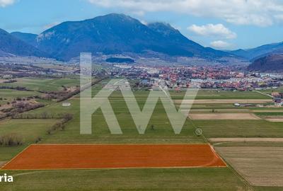 Teren de 8557 mp, în Plaiul Foii