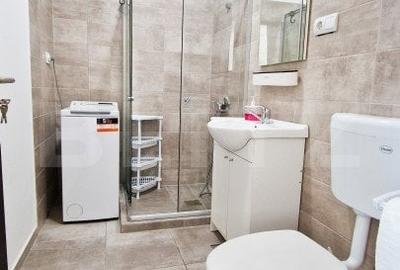 Ideal investitie! 2 apartamente cu 2 camere fiecare, curte privata, Tineretului - 14