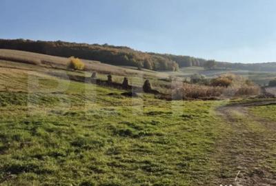 Casă cu 3 camere cu Teren 1900 Mp în Bărdești - 8