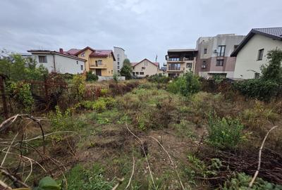 Nicolae Grigorescu, chiar la pasajul peste Splaiul Unirii, in planul 2 - 3