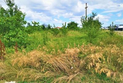 Teren Construcții intravilan de 780 mp, în Șerbănești - 3