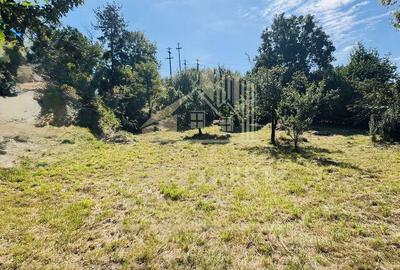 TEREN INTRAVILAN 3234 MP LERE?TI VOINE?TI ARGE? - 6