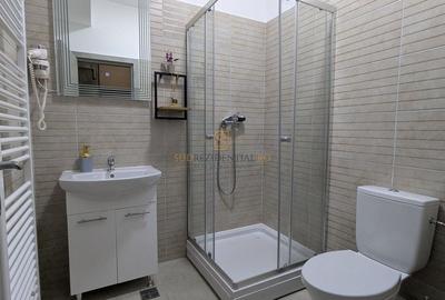 Apartament 3 camere, mobilat, utilat, imobil nou, Luica-Brancoveanu - 17