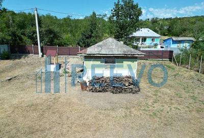 Casă cu 2 camere cu Teren 1425 Mp în Parincea - 5