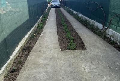 Casă cu 4 camere cu Teren 500 Mp în Fundeni - 4