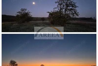 De vanzare - TEREN construc?ii 700 mp - liziera - Sili?tea Snagovului - 3