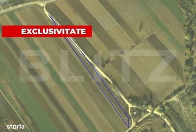 Spațiu comercial, în Pârău lui Mihai - 1