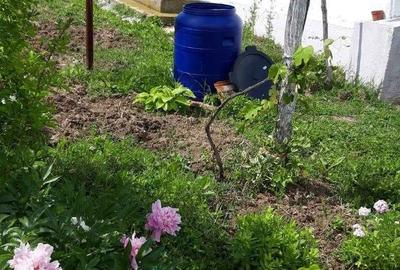 Casă cu 2 camere în Târsa - 8