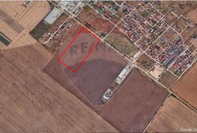 Teren de 50000 mp, în Sud - 3