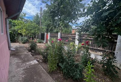 Casă individuală cu 4 camere cu Teren 1500 Mp în Jilavele - 6