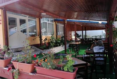 Spațiu comercial, de 500 mp, în Baia de Fier - 3