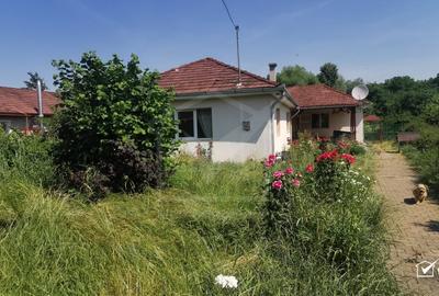 Casa individuala cu gradina frumoasa, teren mare Moldovenesti-Cluj - 4