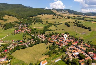 FILM!Doua case traditionale,pe domeniu cu peste 5.000mp tere - 3