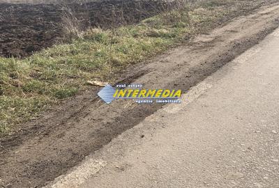 Teren Construcții de 791 mp, în Cetate - 2