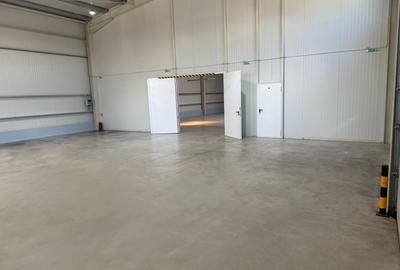 Spațiu industrial, în Exterior Sud - 2