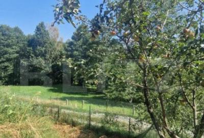 Casa PREDELUT , 4 camere - 13