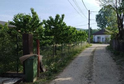 Teren de 2200 mp, în Olteni - 9