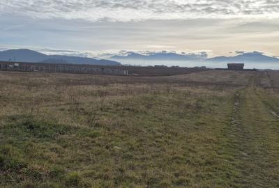 Teren Construcții intravilan de 750 mp, în Bod - 4