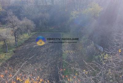 Casa + teren 5062 mp de vanzare - Targu Neamt - 7