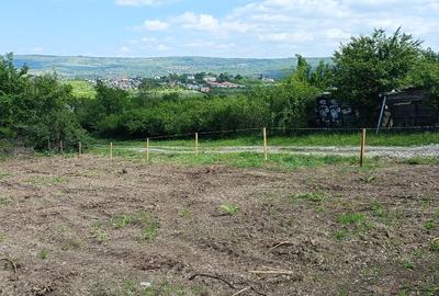 Teren de vânzare, 1079 m2(2parcele), Visan, jud.Iasi.Proprietar! - 4