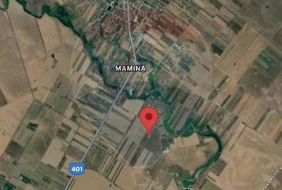 Teren Intravilan 519mp, P+1E+M, zona in dezvoltare - Vidra, Ilfov - 7