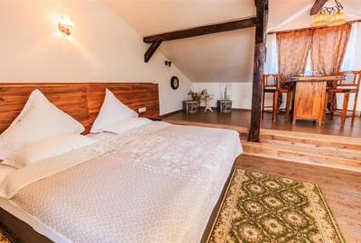 Hotel Bielmann,unicitate si profitabilitate optima in turism,Sanpetru, Brasov - 55