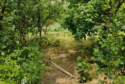 Casă cu 3 camere în Glodeanu-Siliștea - 10