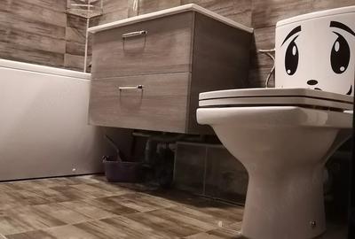 Apartament cu 3 camere decomandat, mobilat în Aradului - 2
