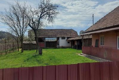 Casă cu 2 camere în Cinta - 2