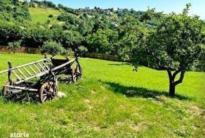 Spațiu comercial, în Schei - 2