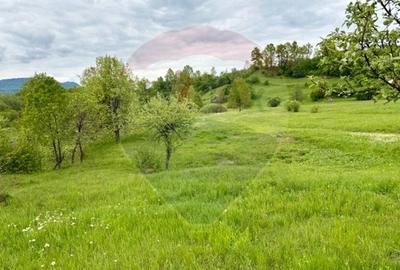 Teren agricol extravilan de 20876 mp, în Breb - 2