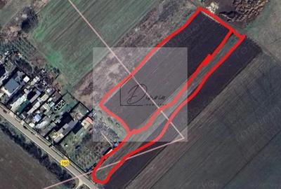 Teren intravilan Ciocanesti Cretu - 9282 mp divizat in 15 loturi - 2