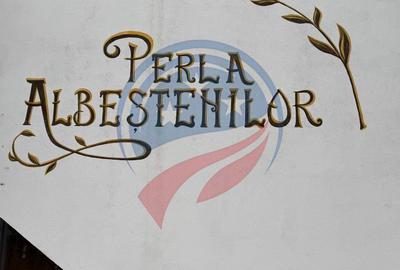 Spațiu comercial, de 706 mp, în Șimnicu de Sus - 10