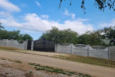 Spațiu comercial, în Viile Satu Mare - 7