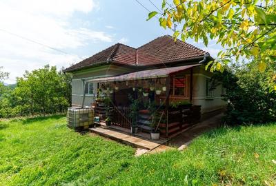 Casă individuală cu 3 camere cu Teren 9995 Mp în Ormindea