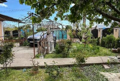 Casă cu Teren 650 Mp în Traian - 3