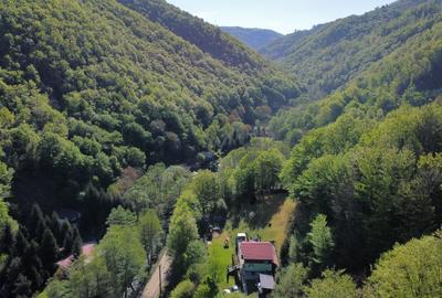 Casă cu 4 camere în Plaiuri - 10