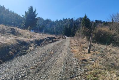 Spațiu comercial, în Colibița - 7