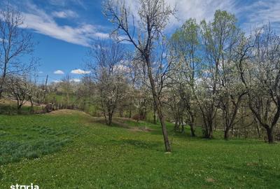 Teren de 12000 mp, în Ghioșești - 4