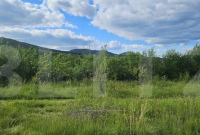 Teren de 1281 mp, în Căprioara - 6