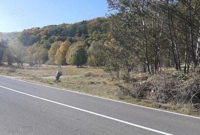 Casa teren intravilan 2800 mp - 7