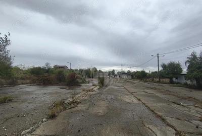 Teren de 45500 mp, în Albert - 5