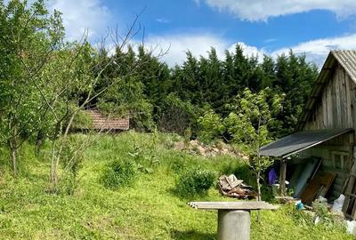 Casă cu 4 camere cu Teren 2215 Mp în Uileacu de Munte - 8