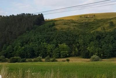 Exclusivitate! Teren intravilan in Luna de sus! - 3