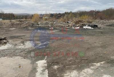 ID 7743 Teren INTRAVILAN pe E87 - ISACCEA - 3