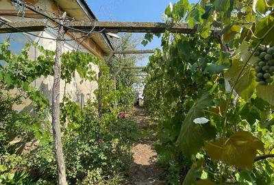Teren de 2258 mp, în Ciocănești - 7