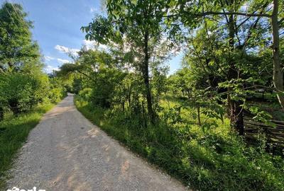 Teren de 4754 mp, în Moțăieni - 7